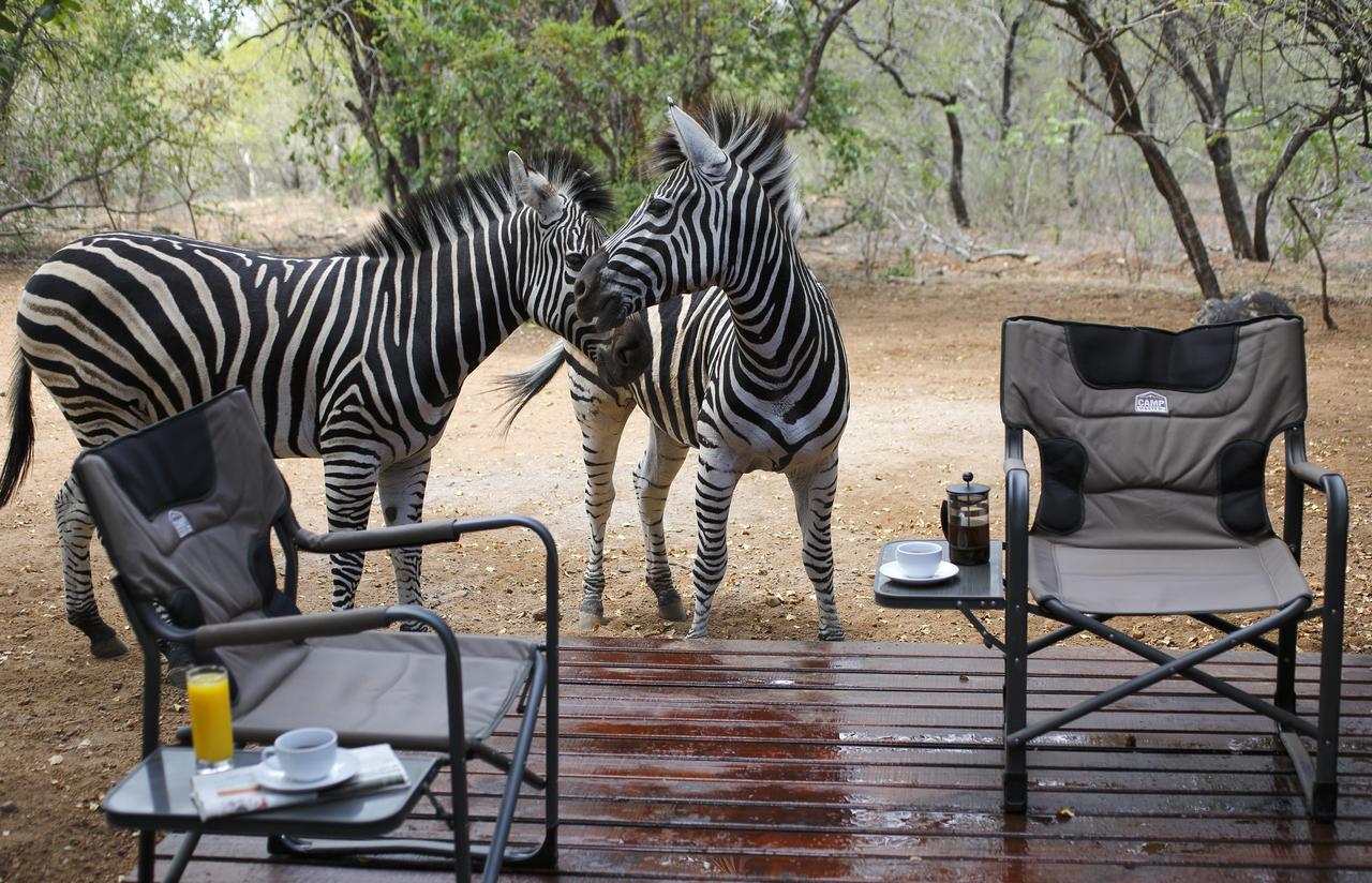 Tusk Bush Lodge Marloth Park Zewnętrze zdjęcie