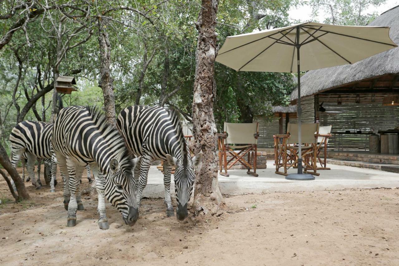 Tusk Bush Lodge Marloth Park Zewnętrze zdjęcie