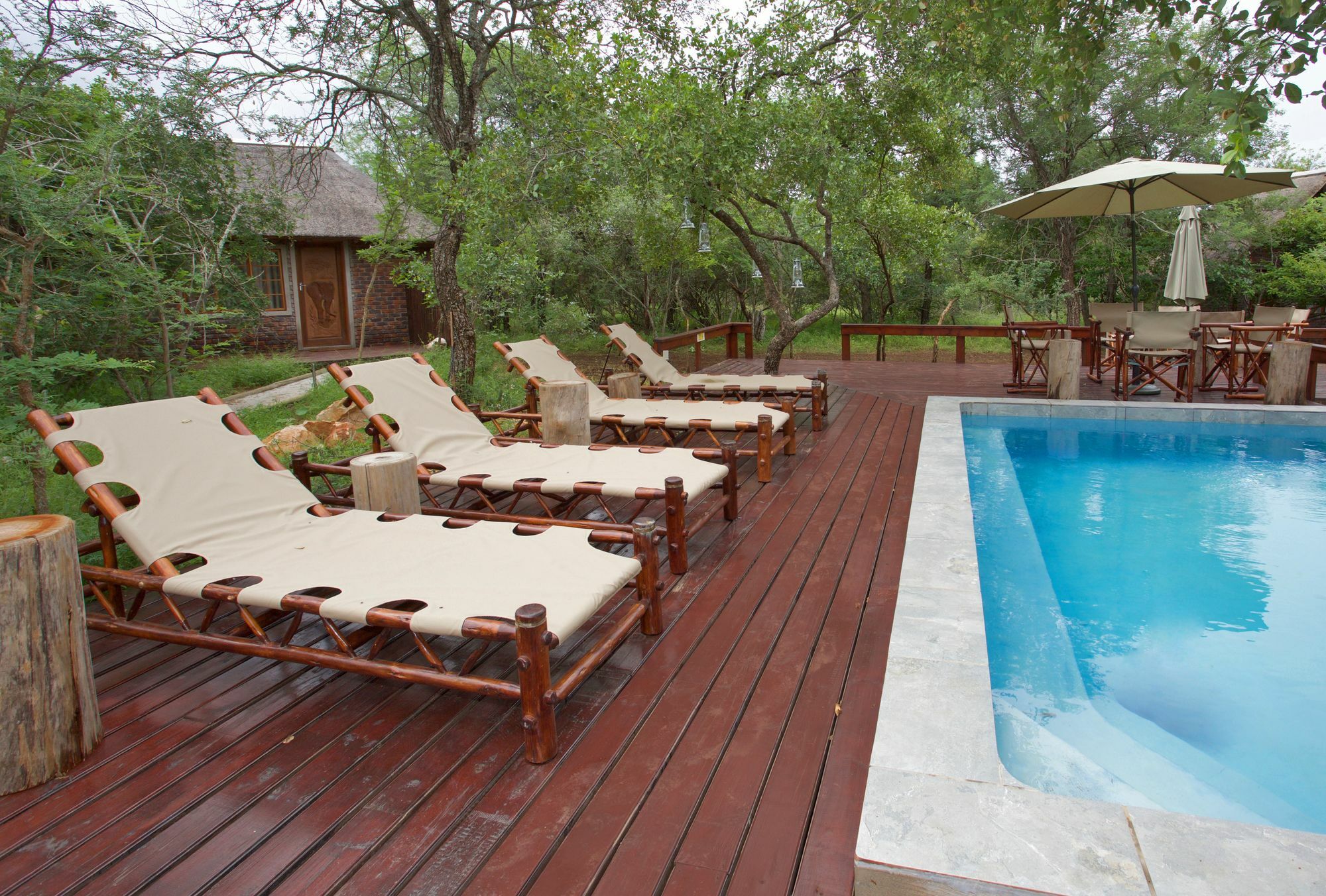 Tusk Bush Lodge Marloth Park Zewnętrze zdjęcie