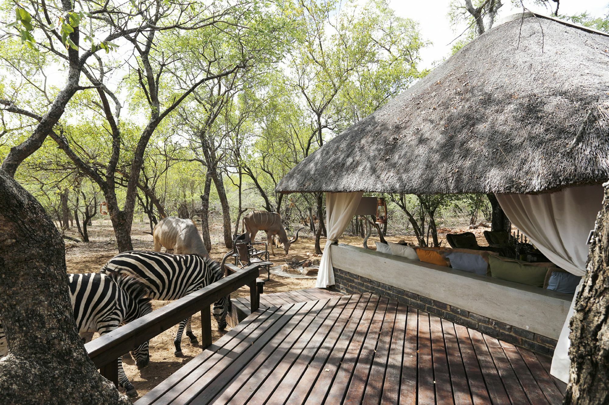 Tusk Bush Lodge Marloth Park Zewnętrze zdjęcie