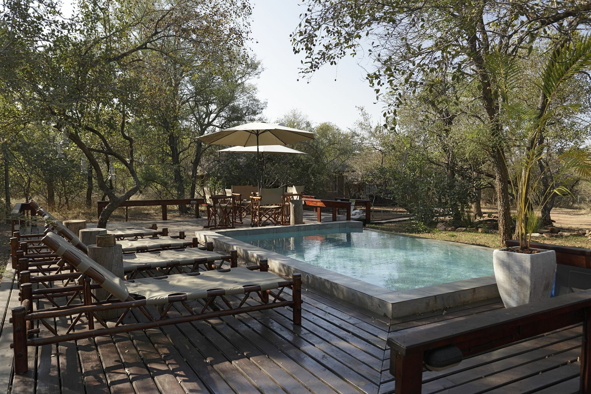 Tusk Bush Lodge Marloth Park Zewnętrze zdjęcie