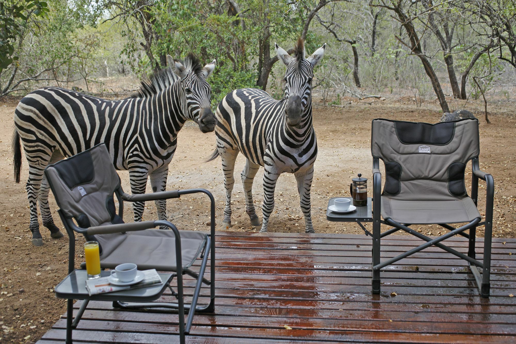 Tusk Bush Lodge Marloth Park Zewnętrze zdjęcie