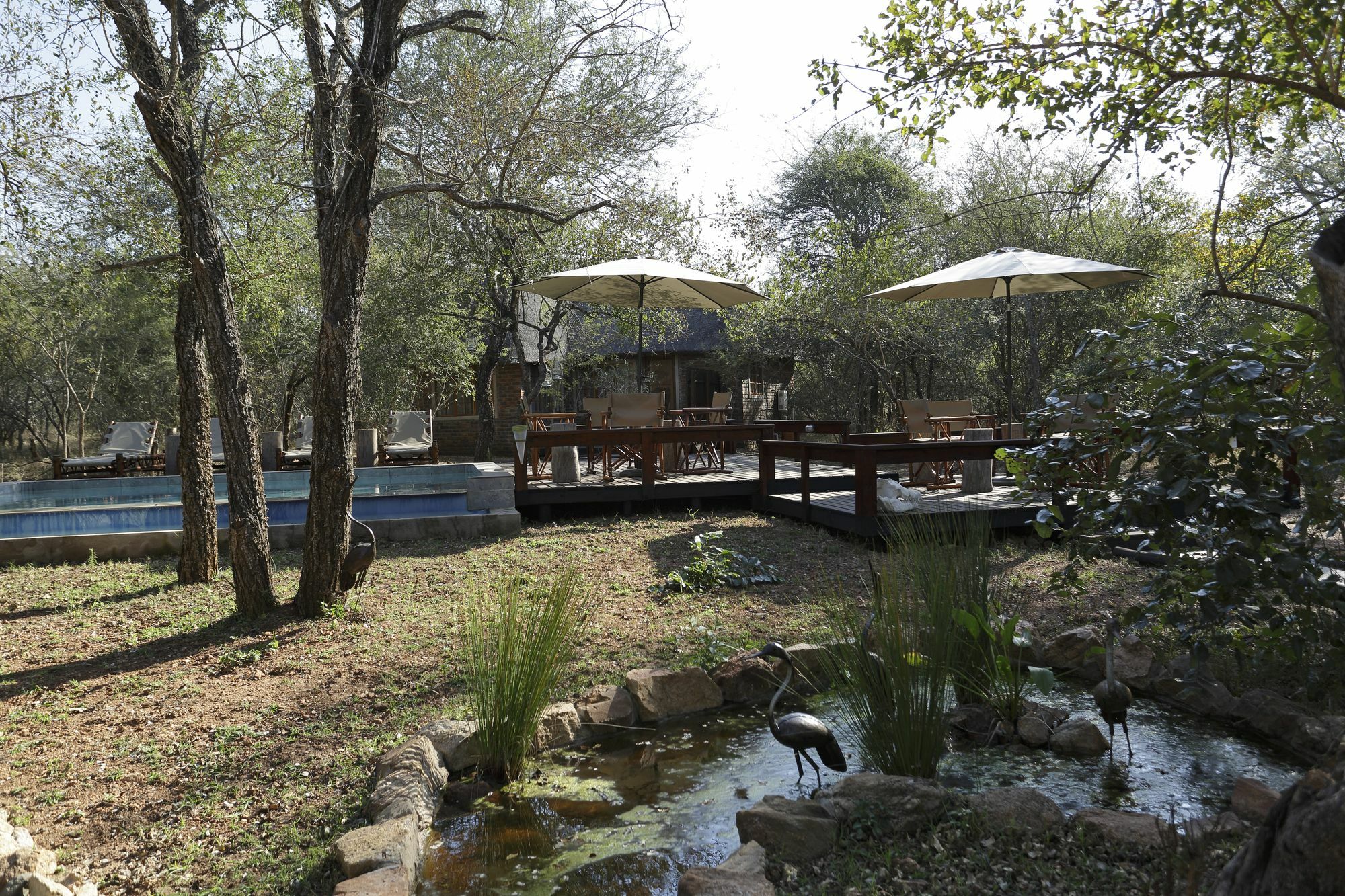 Tusk Bush Lodge Marloth Park Zewnętrze zdjęcie