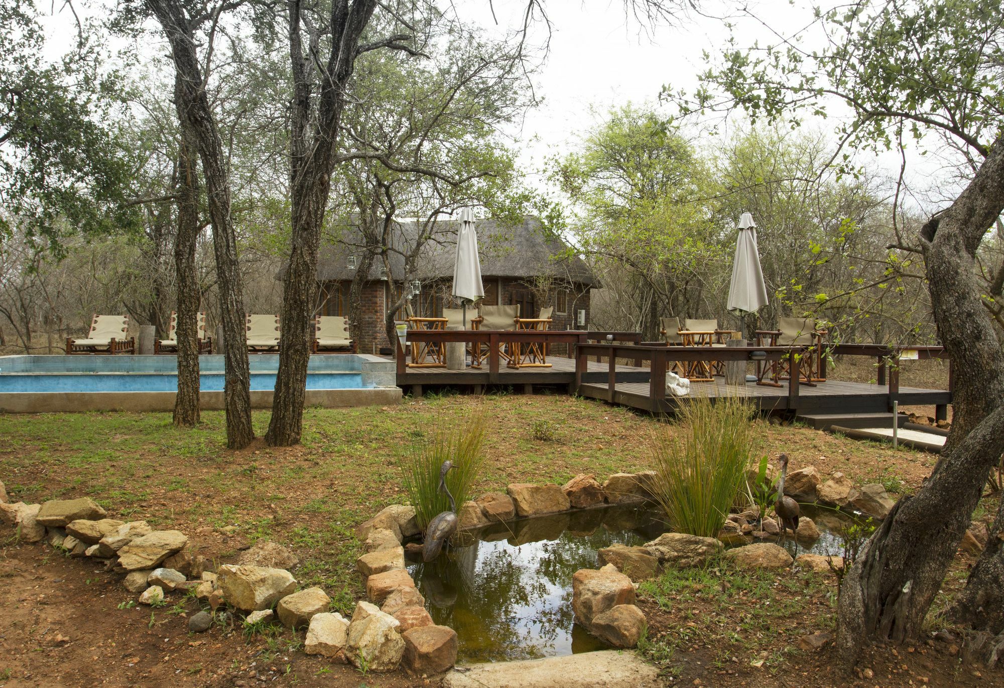 Tusk Bush Lodge Marloth Park Zewnętrze zdjęcie