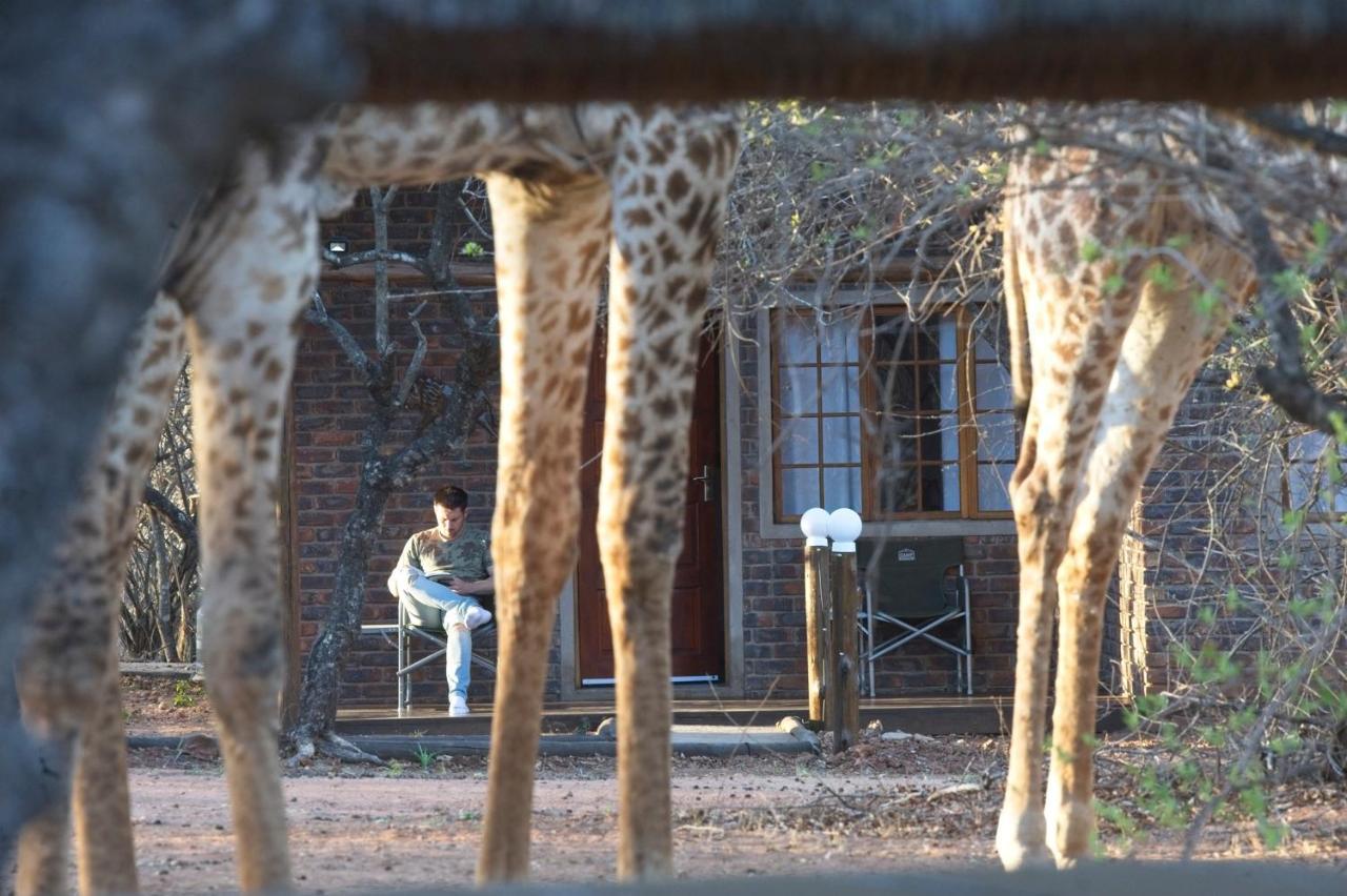 Tusk Bush Lodge Marloth Park Zewnętrze zdjęcie