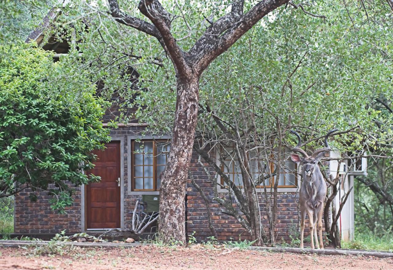 Tusk Bush Lodge Marloth Park Zewnętrze zdjęcie